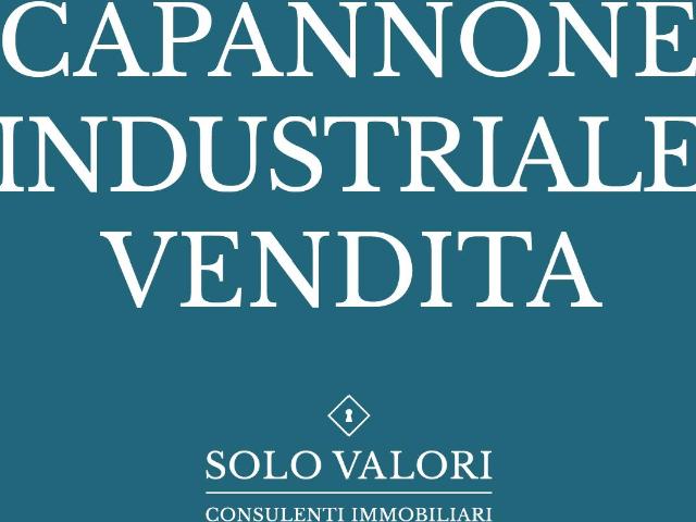 Capannone in vendita a Castelfranco Veneto, Veneto