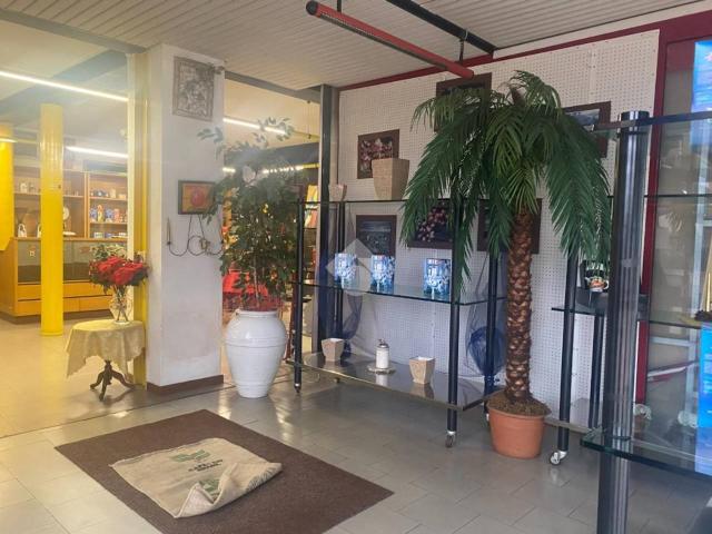 Capannone in vendita a Castiglione Delle Stiviere, Lombardia