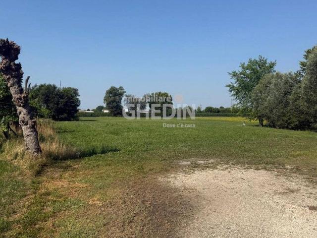 Capannone in vendita a Codognè, Veneto