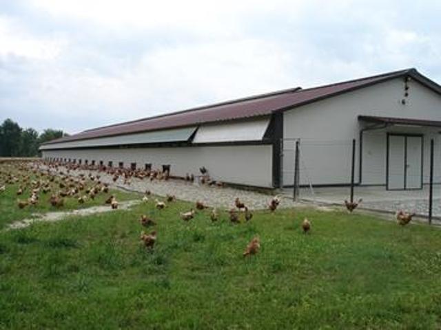 Capannone in vendita a Este, Veneto