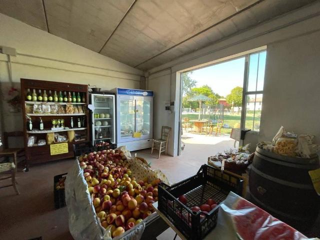 Capannone in vendita a Unione di Comuni della Romagna Forlivese, Quattro
