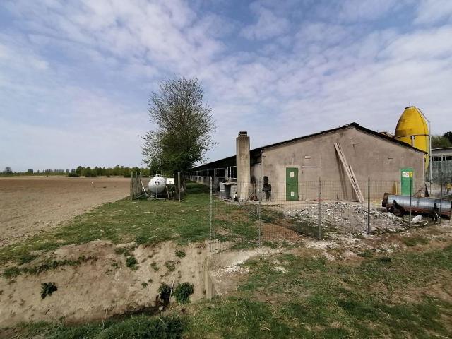 Capannone in vendita a Gazzo Veronese, Roncanova
