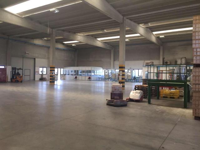 Capannone in vendita a Nuovo Circondario Imolese, Imola