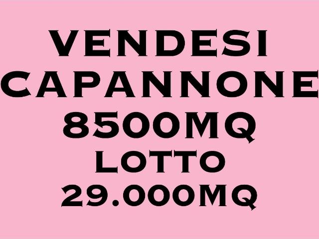 Capannone in vendita a Unione Comuni Modenesi Area Nord, Mirandola