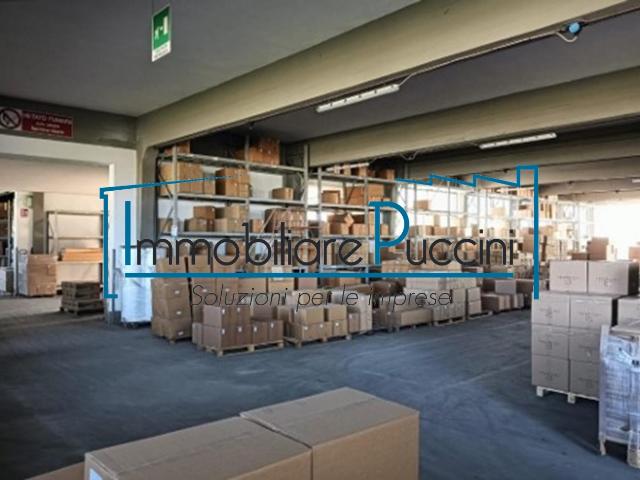 Capannone in vendita a Montevettolini, Toscana