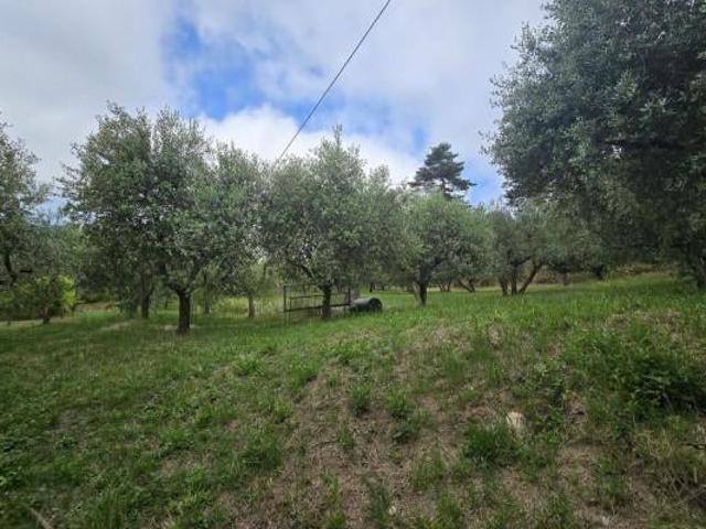 Capannone in vendita a Abbadia Di Montepulciano, Toscana