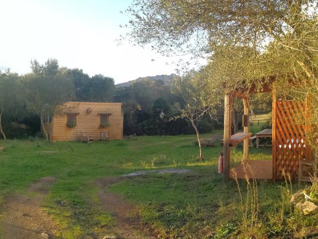 Capannone in vendita a Olbia, Sassari