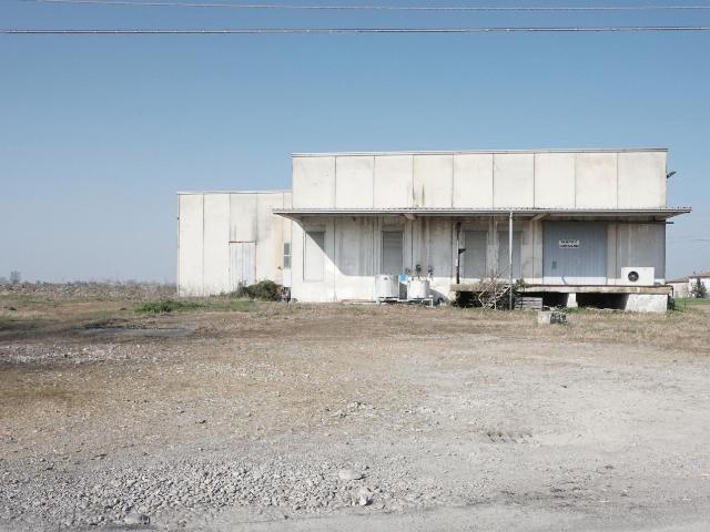 Rustico in vendita a Golese, Sorbolo