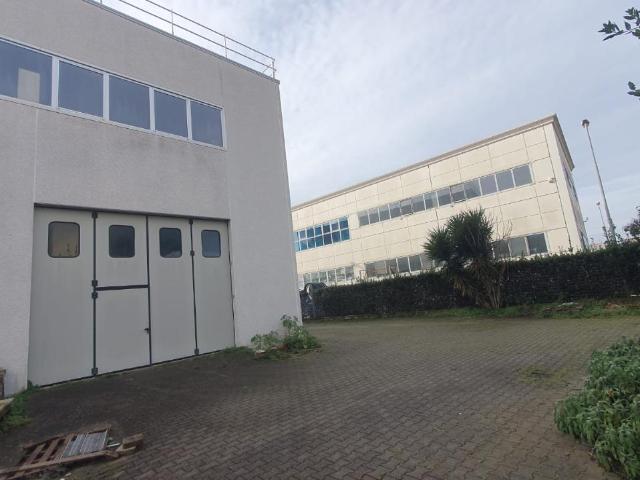 Capannone in vendita a Tonfano, Toscana