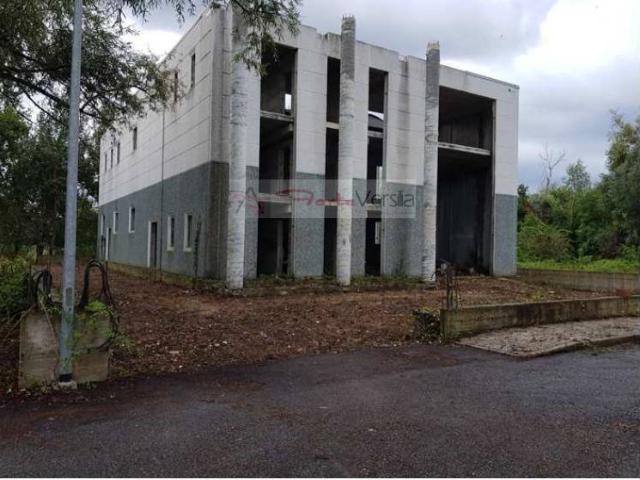 Capannone in vendita a Tonfano, Toscana