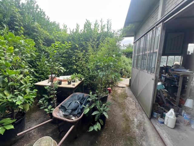 Capannone in vendita a Tonfano, Toscana