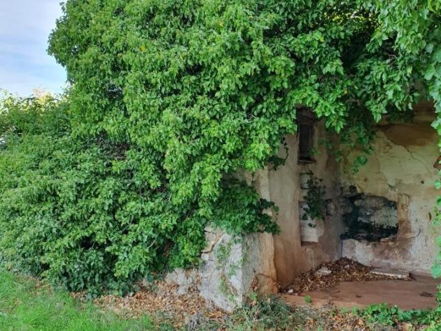 Capannone in vendita a Casello Cavuzzi, Puglia