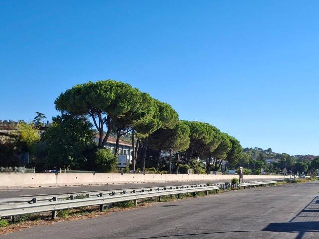 Capannone in vendita a Rimini, Reggio Emilia