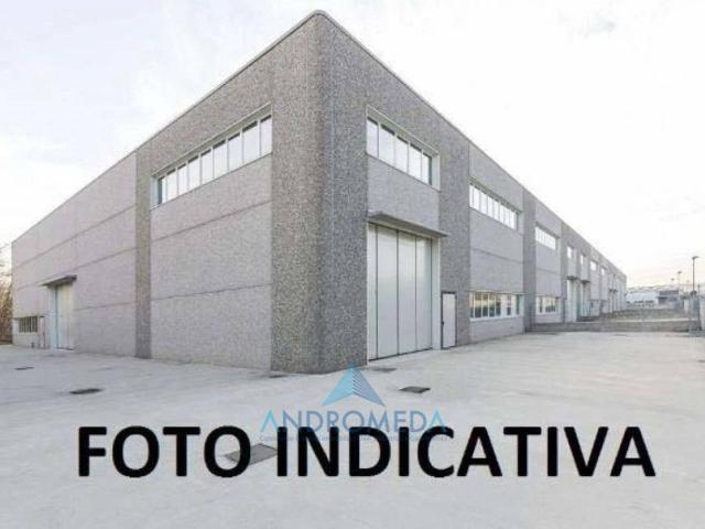 Capannone in vendita a San Tammaro, Campania