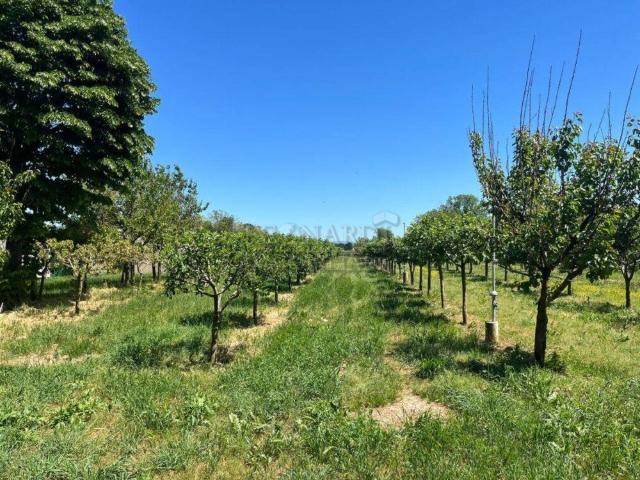 Capannone in vendita a Sansepolcro, Toscana