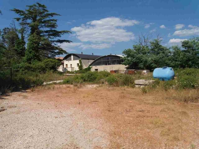 Capannone in vendita a Scansano, Toscana