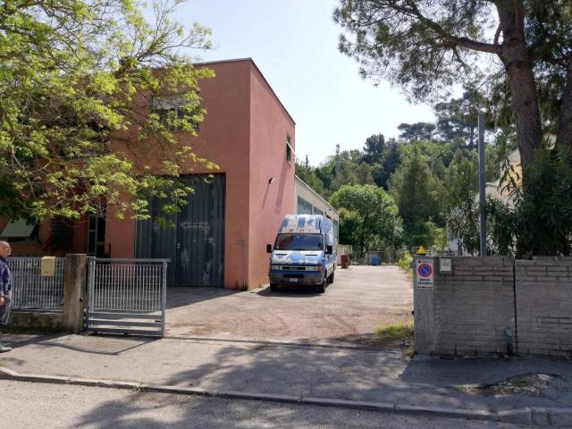 Capannone in vendita a Marche, Ancona