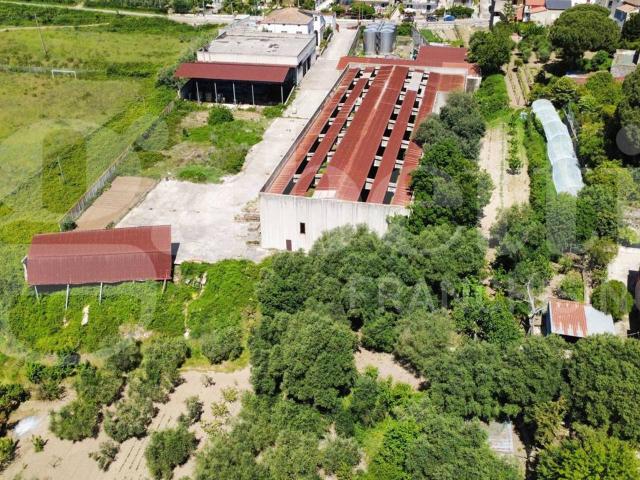 Capannone in vendita a Teano, Campania