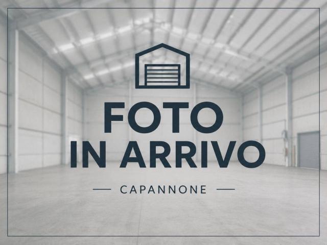 Capannone in vendita a Vigonovo, Veneto