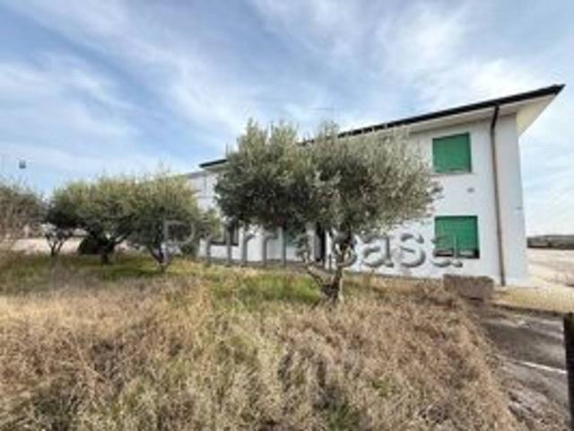 Capannone in vendita a Zimella, Veneto