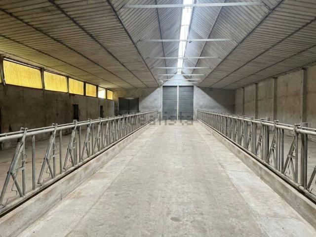 Capannone in vendita a Albettone, Vicenza
