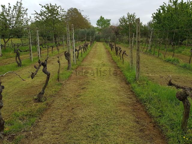 Capannone in vendita a Unione di Comuni della Romagna Forlivese, Quattro