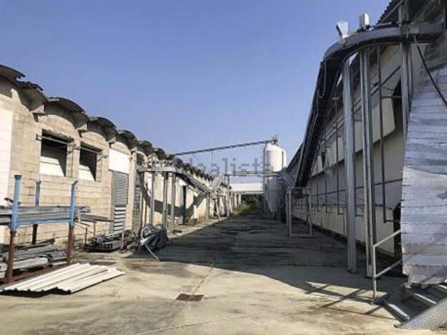 Capannone in vendita a Cittadella, Veneto