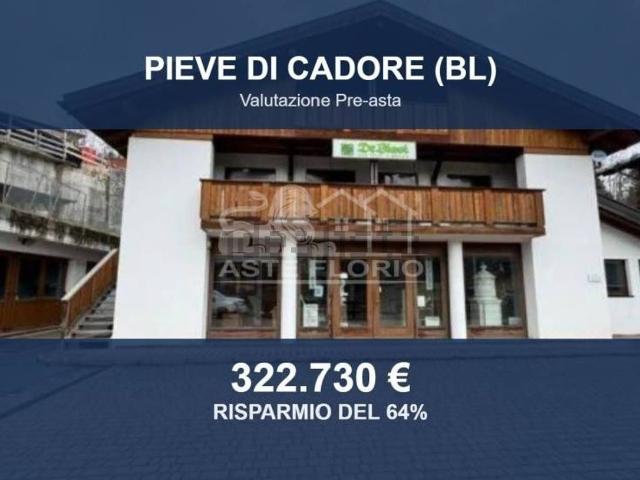 Capannone in vendita a Pieve Di Cadore, Veneto