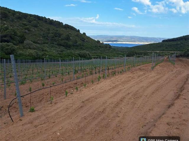 Capannone in vendita a Alghero, Sardigna/Sardegna