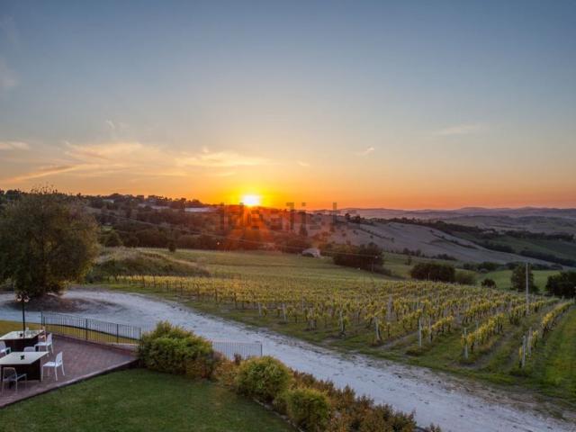 Capannone in vendita a Marche, Ancona