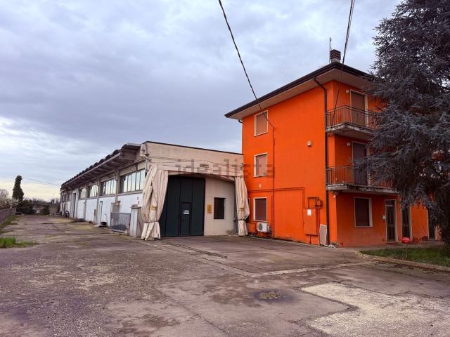 Capannone in vendita a Montagnana, Veneto