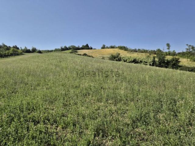 Capannone in vendita a Schiavonia - San Biagio, Forlì