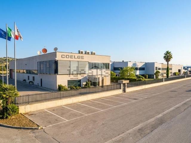 Capannone in vendita a Termoli, Molise