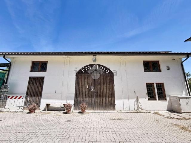 Capannone in vendita a Rosignano Solvay, Rosignano Marittimo
