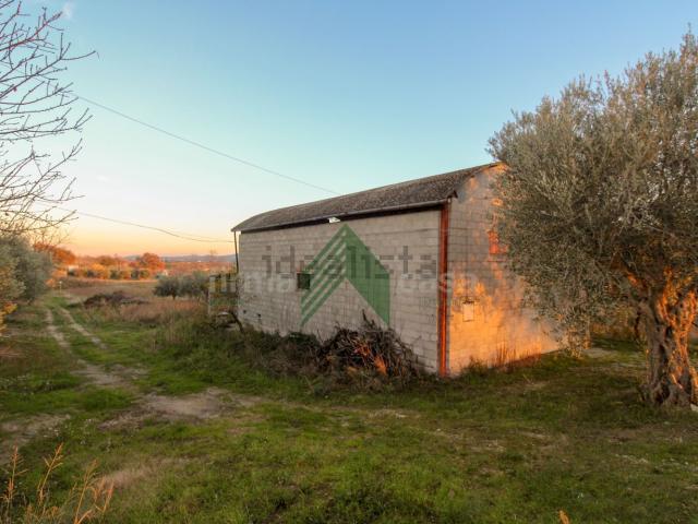 Capannone in vendita a Bellante, Abruzzo