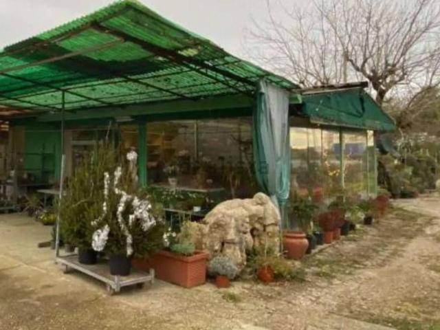 Capannone in vendita a Latisana, Friuli-Venezia Giulia