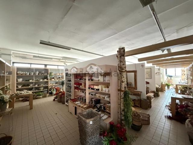 Capannone in vendita a Aquilinia / Žavlje, Muggia / Milje