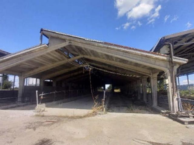 Capannone in vendita a Castagneto, Pavullo nel Frignano