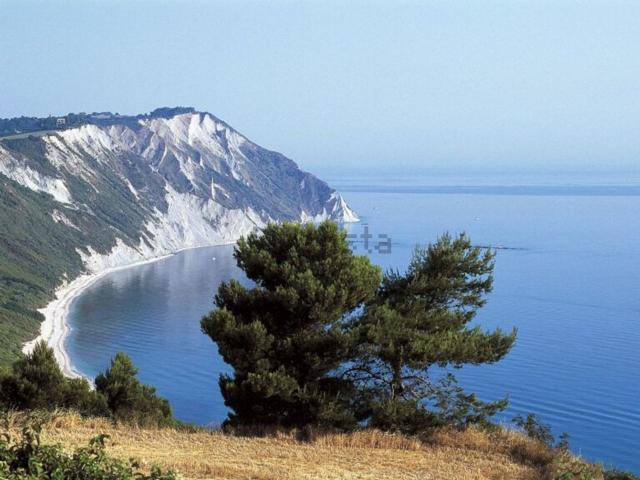 Capannone in vendita a Marche, Ancona