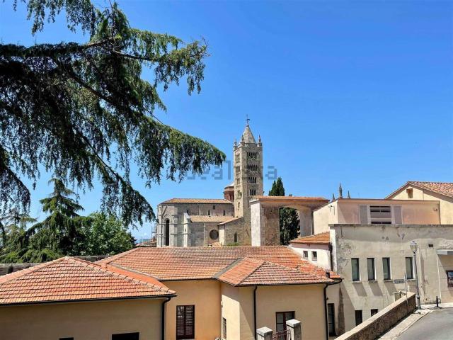 Capannone in vendita a Poggio, Massa Marittima