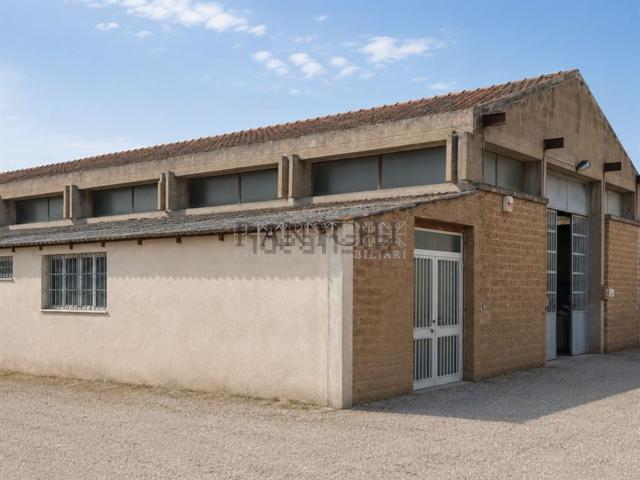 Capannone in vendita a Asciano, Toscana