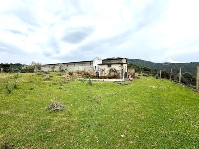 Capannone in vendita a Dolianova, Sardigna/Sardegna