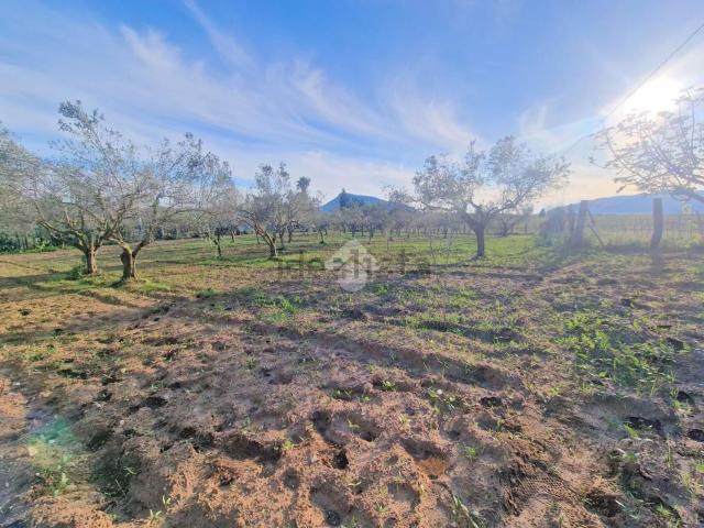 Capannone in vendita a Partinico, Sicilia