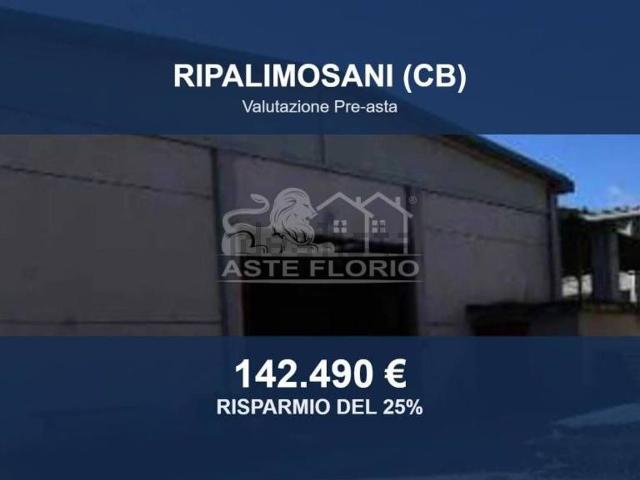 Capannone in vendita a Ripalimosani, Molise