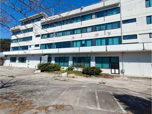 Capannone in vendita a Santa Procula, Pomezia