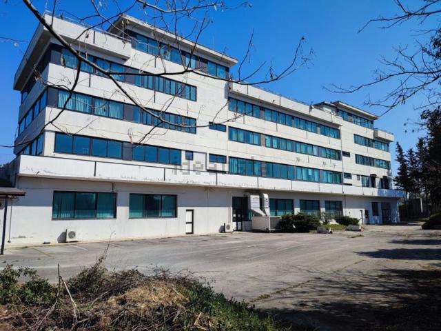 Capannone in vendita a Santa Procula, Pomezia