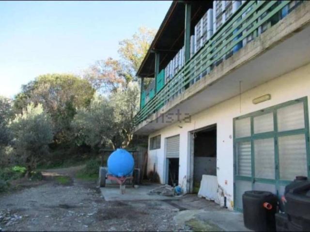 Capannone in vendita a Calabria, Catanzaro