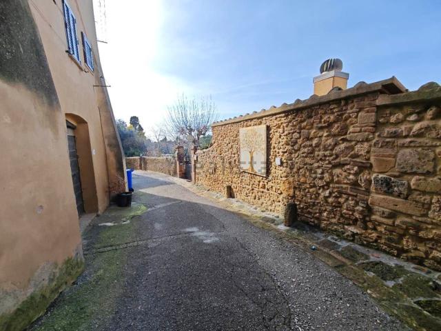 Capannone in vendita a Bibbona, Toscana