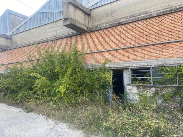 Capannone in vendita a Lisciano, Rieti