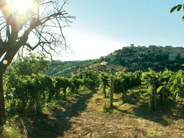Capannone in vendita a Marche, Ascoli Piceno